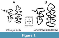 s figure1