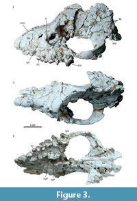 s figure3