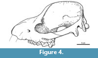 s figure4