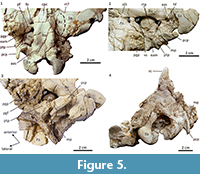 s figure5a