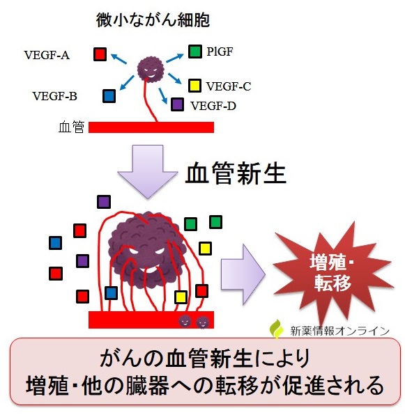 がんと血管新生