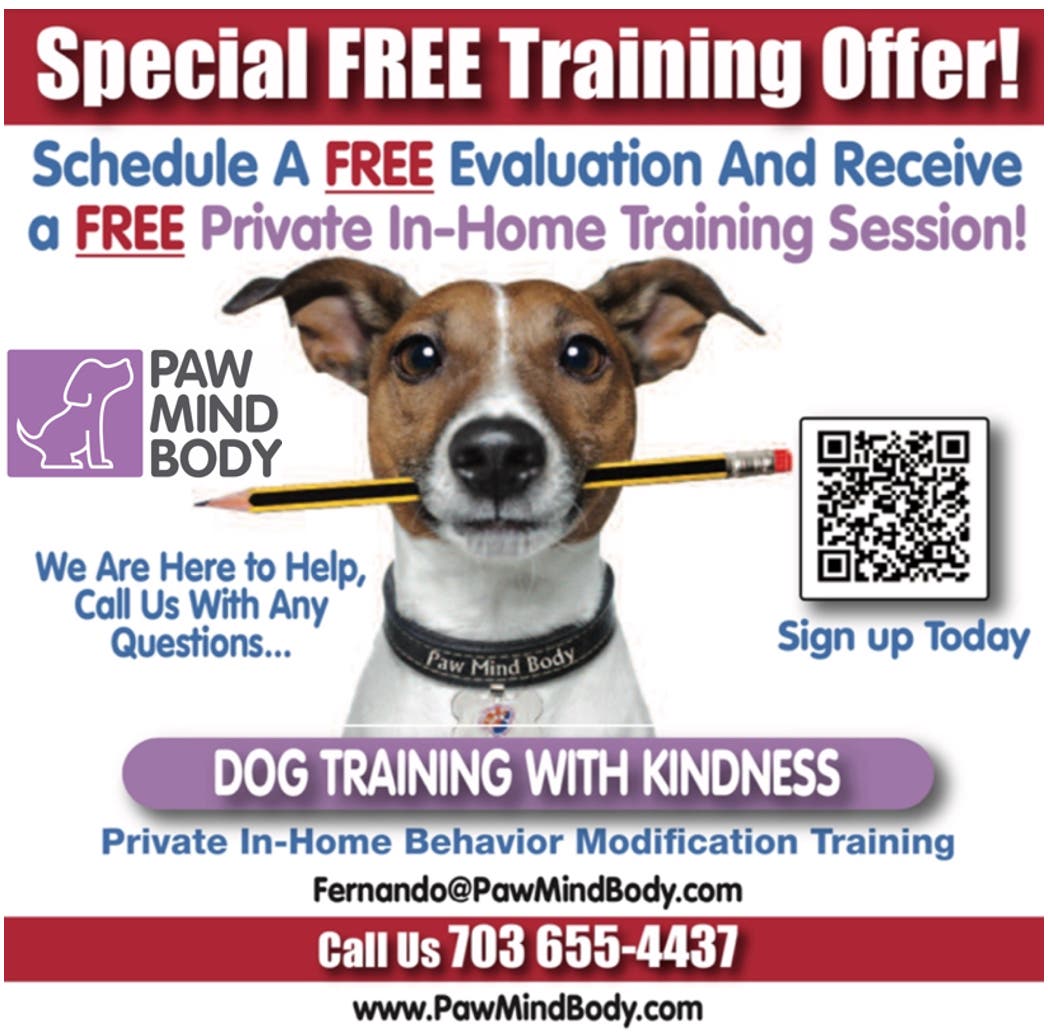Dog Training with Real Results! NO HARSH METHODS USED! 