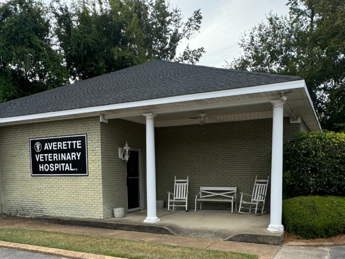 County Buys Vet Clinic To Lease To Tuscaloosa Metro Animal Shelter 