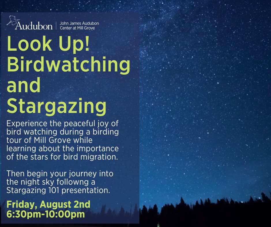 Look Up! Birdwatching and Stargazing