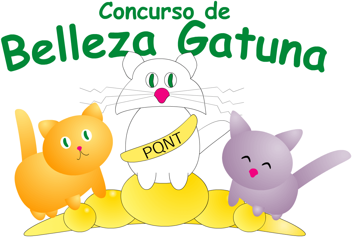 Concurso de Belleza Gatuna: los gatos más guapos