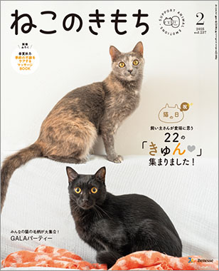 雑誌『ねこのきもち』