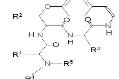 General Cyclopeptide alkaloid