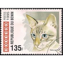 BENIN, CAT, Tabby Point, white 1995, 135F