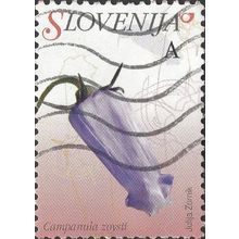 SLOVENIA, FLOWER, Zois' Bellflower, Campanula zoysii, pink 2007, A, #3