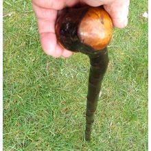 1J RARE P RATHMORE 32inch IRISH BLACKTHORN WALKING STICK SHILLELAGH FROM IRELAND