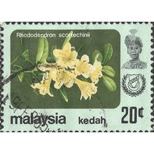 KEDAH, MALAYSIA, FLOWERS, Rhododendron scortechinii, green 1983, 20c, #2