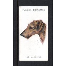 1929 PLAYER'S COLLECTOR CARD: DOG HEAD PAINTING, 'IRISH WOLFHOUND', #50. 244/5