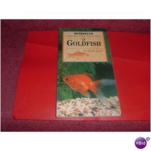 GOLDFISH (29/07)