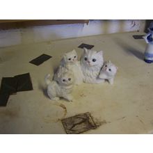 SET OF 4 CERAMIC CATS/HOMCO # 1412