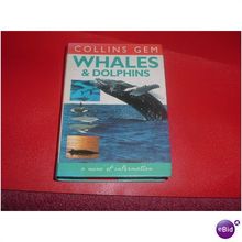 WHALES / DOLPHINS (02/01)