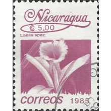 NICARAGUA, FLOWER, orchid, Laelia sp., lilac 1985, $5.00