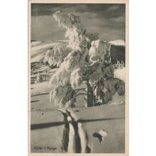 Winter in Norway - Vinter i Norge - B. Oppi Kunstforlag - 1939 - Postcard