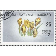 BATUM, FLOWER, Crocus, grey 1994, 25kapeki