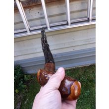 5w P RATHMORE 36inch IRISH BLACKTHORN WALKING STICK SHILLELAGH SENT FROM IRELAND