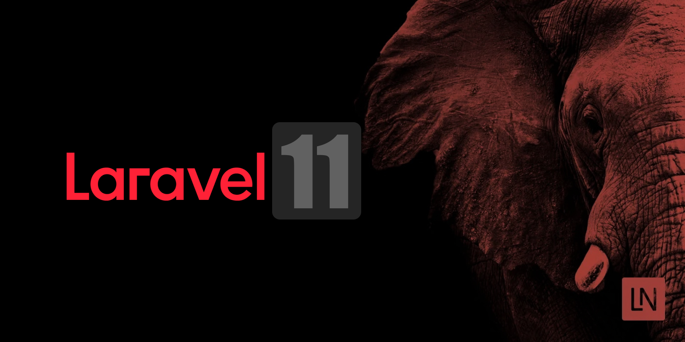 Laravel 11.24 Released image