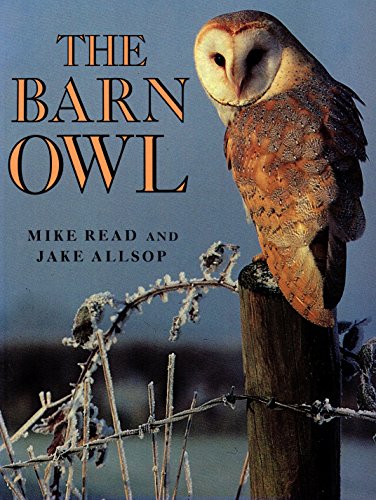 Immagine dell'editore per The Barn Owl venduto da Goldstone Books