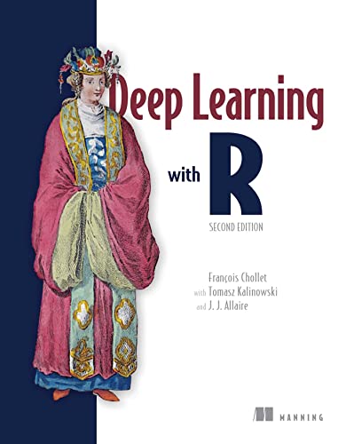 9781633439849: Deep Learning With R