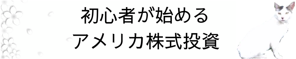 初心者が始めるアメリカ株式投資