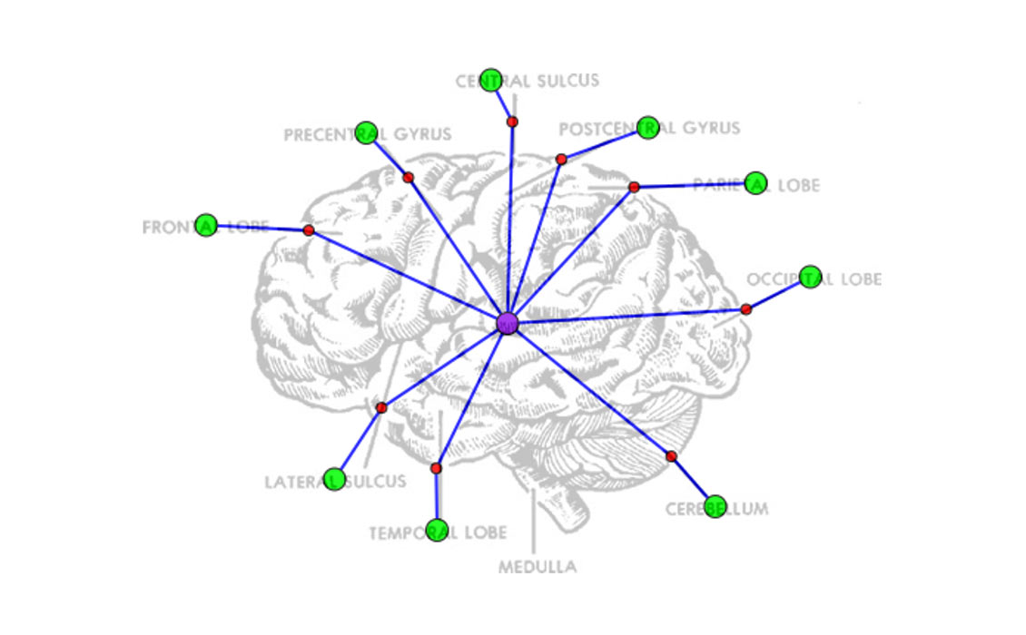 A Diagram Is Worth A Dozen Images