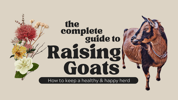 The Complete Guide to Raising Goats