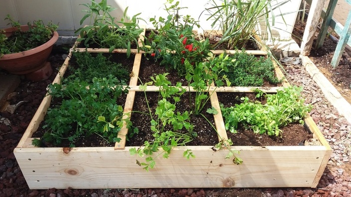 Introductory Square Foot Gardening Course