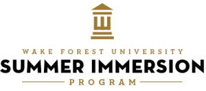 The Summer Immersion Program logo