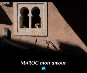 MAROC mon amour book cover