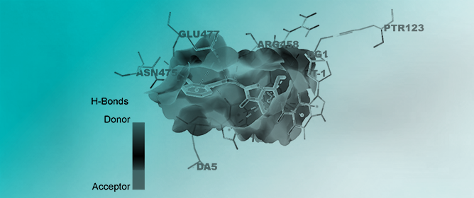 The Importance of Substituent Position for Antibacterial Activity in the Group of Thiosemicarbazide Derivatives