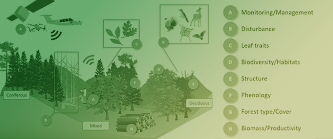 Remote Sensing of Forests in Bavaria: A Review