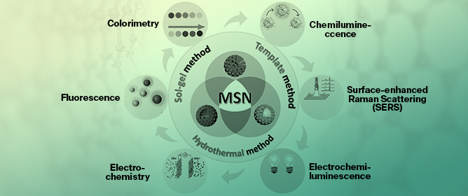 A Review of Current Developments in Functionalized Mesoporous Silica Nanoparticles: From Synthesis to Biosensing Applications