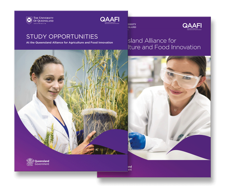 QAAFi state of the institute report