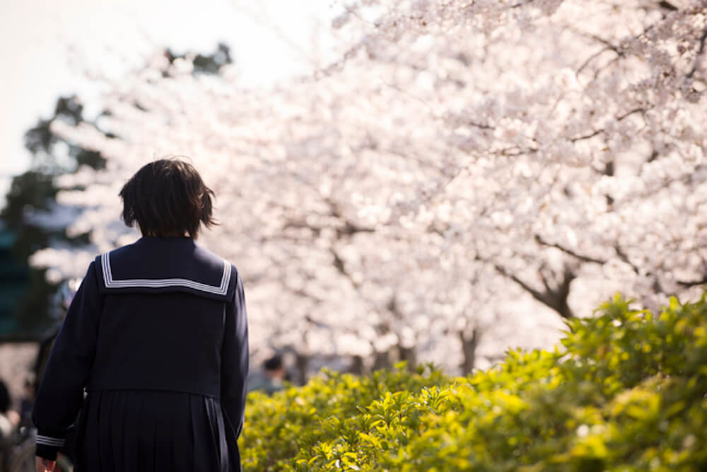 桜とセーラー服の生徒