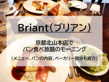 pan-briant-ic