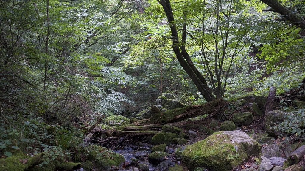 Mount Mitake Rock Garden