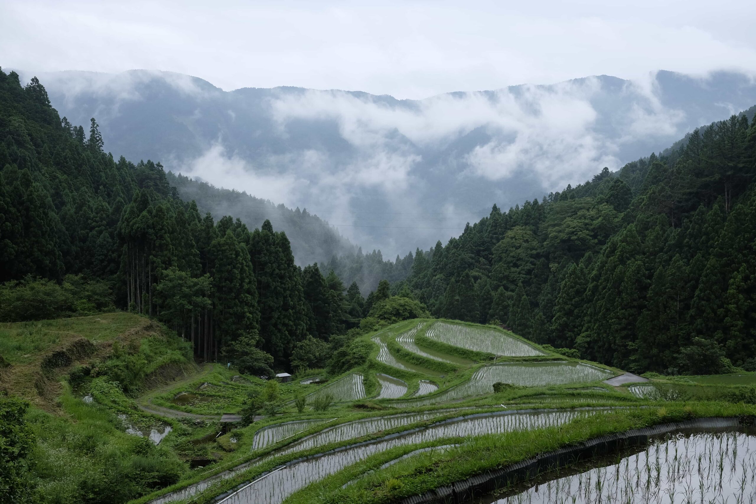 Tokushima’s Cultural Landscapes