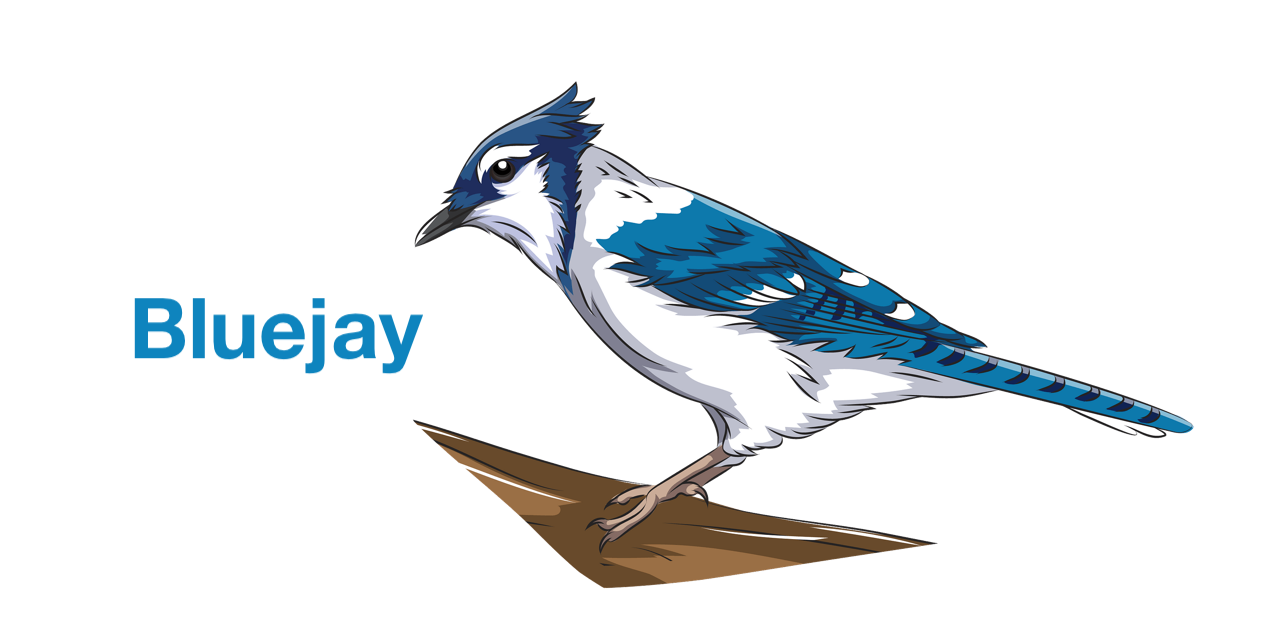 bluejay