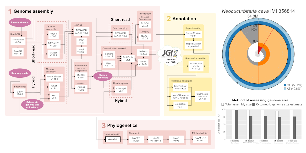 EndophyteGenomes