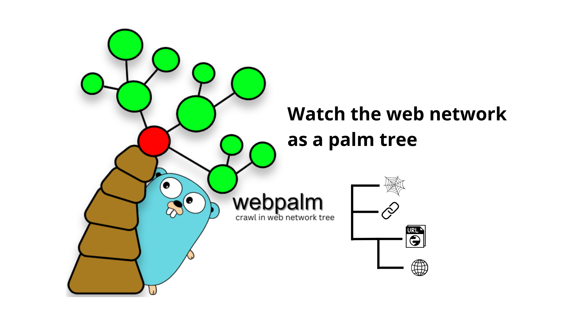 webpalm