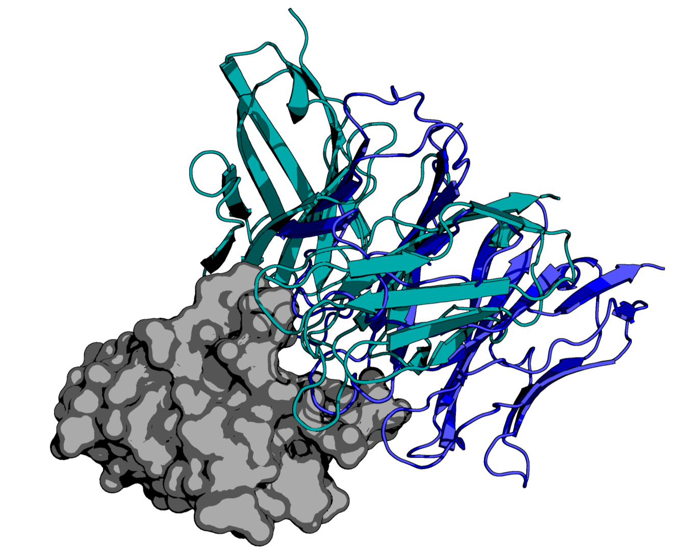 PD-1_Fab_Diffusion