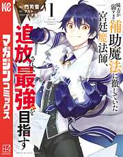 味方が弱すぎて補助魔法に徹していた宮廷魔法師、追放されて最強を目指す（１）