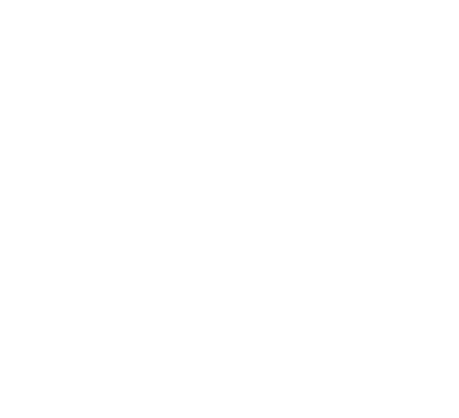 IsoMetrix company logo