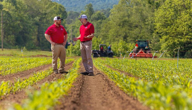 https://research.uga.edu/news/north-georgia-hub-fueling-agricultural-research-at-uga/