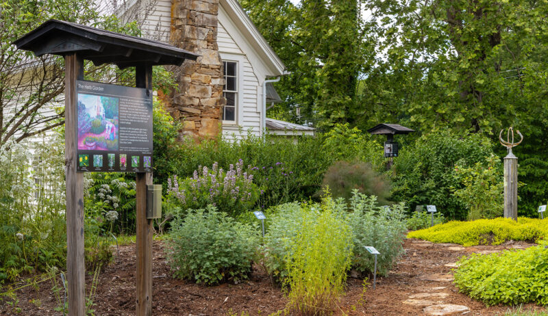 The Herb Garden located at GMREC is maintained by a group of volunteers group and is used for public engagement, not UGA research. The herbs selected are often used for medicinal and culinary purposes by local Appalachians. Other gardens, like the Fern Garden, Forage Garden, Pollinator Garden, and Wildflower Garden, are also housed at the facility.