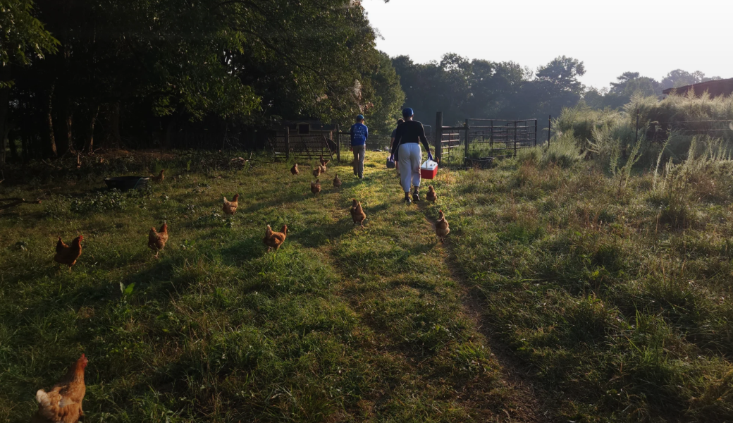 CAES doctoral students Sofia Varriano and Leniha Lagarde follow farmer Clay Brady to the pasture where many of his chickens are kept.