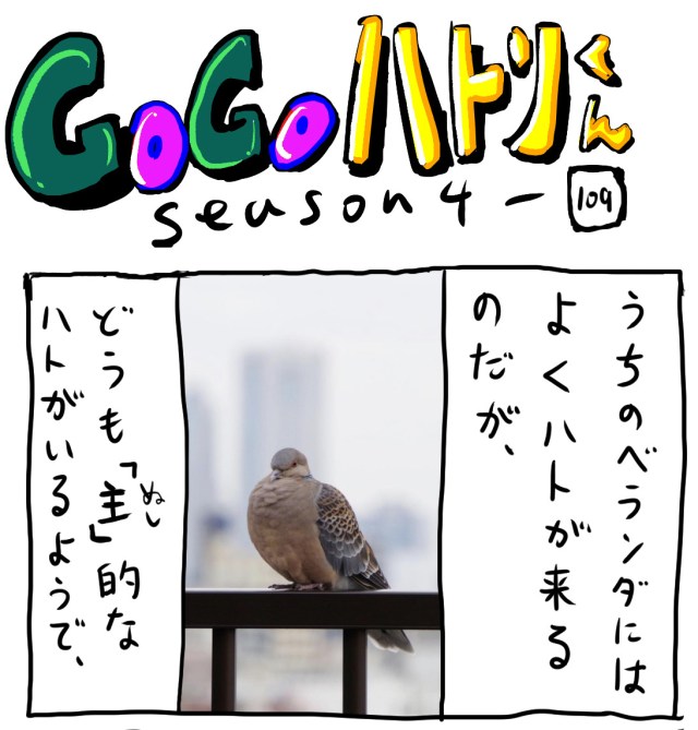 【代打4コマ】第189回「主（ぬし）のハト」GOGOハトリくん